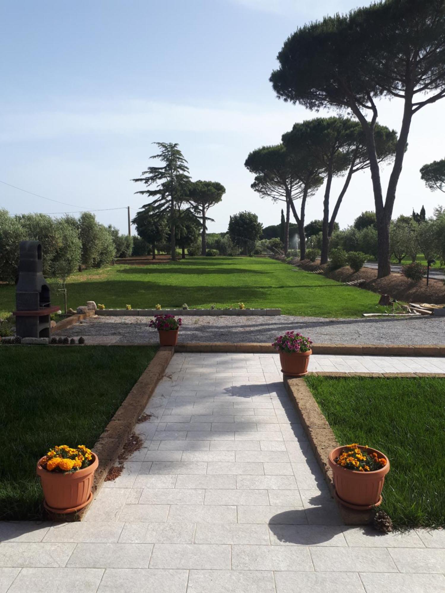 Agriturismo Nonno Gino - Charme&Relax Piombino Exteriör bild