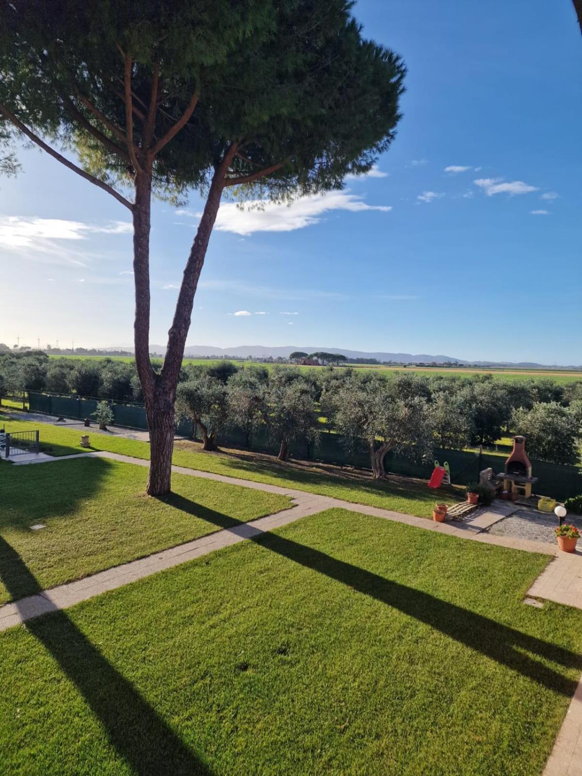 Agriturismo Nonno Gino - Charme&Relax Piombino Exteriör bild