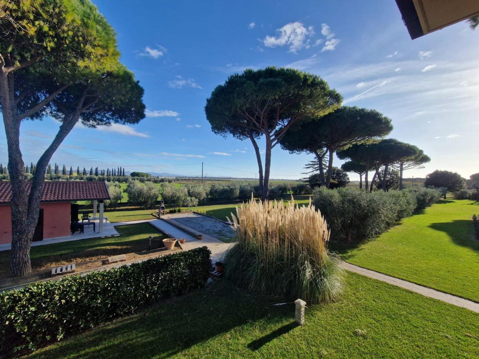 Agriturismo Nonno Gino - Charme&Relax Piombino Exteriör bild